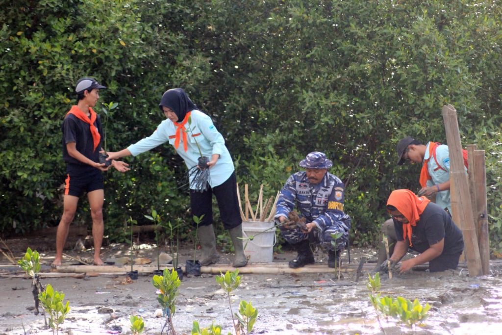 Cegah Abrasi dan Lindungi Ekosistem Laut, Grahamatala Tanam Mangrove di Pesisir Karangantu .