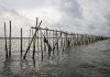 Pagar Laut. (Google).