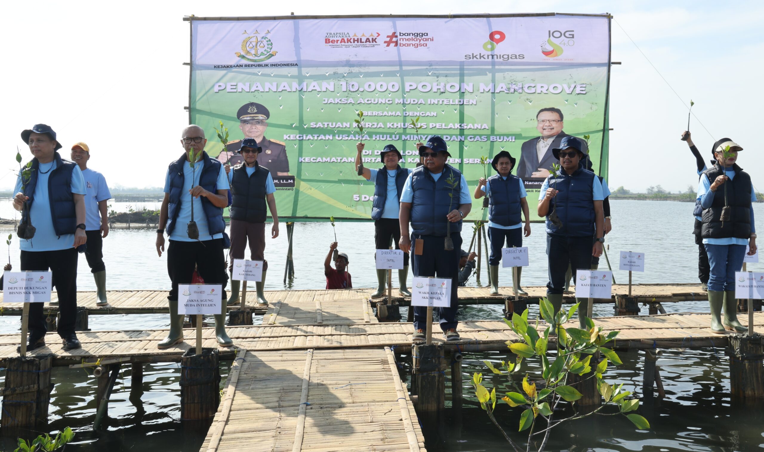Jamintel Kejagung Tanam 10 Ribu Mangrove di Pantai Lontar Kabupaten Serang