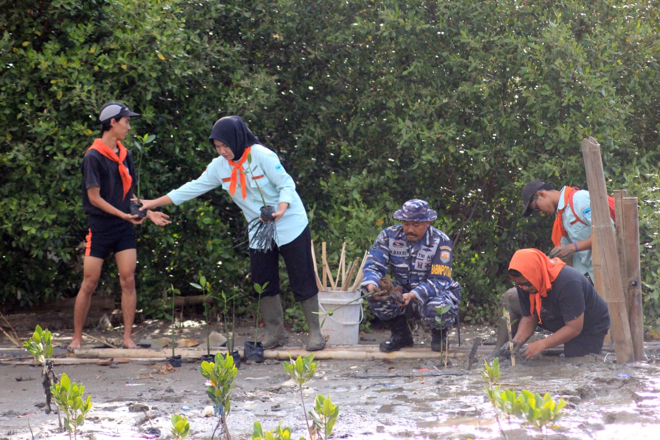 Cegah Abrasi dan Lindungi Ekosistem Laut, Grahamatala Tanam Mangrove di Pesisir Karangantu .