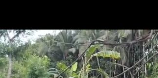TIM SAR Gabungan Melakukan pencarian tiga bocah SD yang terseret arus.