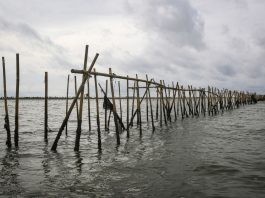Pagar Laut. (Google).
