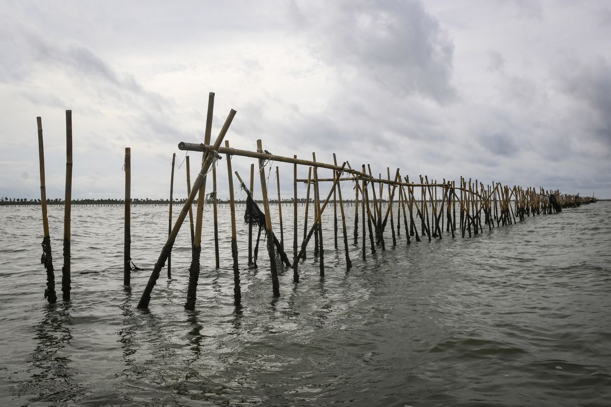 Didenda Pemerintah Rp 48 Miliar, Kades Pemasang Pagar Laut Tangerang Sanggup Bayar