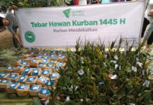 Program Kurban Dompet Dhuafa.