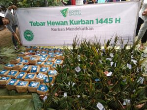 Program Kurban Dompet Dhuafa.