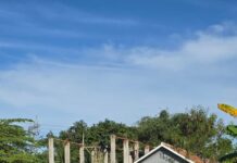 Diam Diam Wakil Wali Kota Serang Potong Qurban 1158 Ekor di Kota Serang, dan Didistribusikan ke Sejumlah Daerah di Banten Nur Agis Aulia