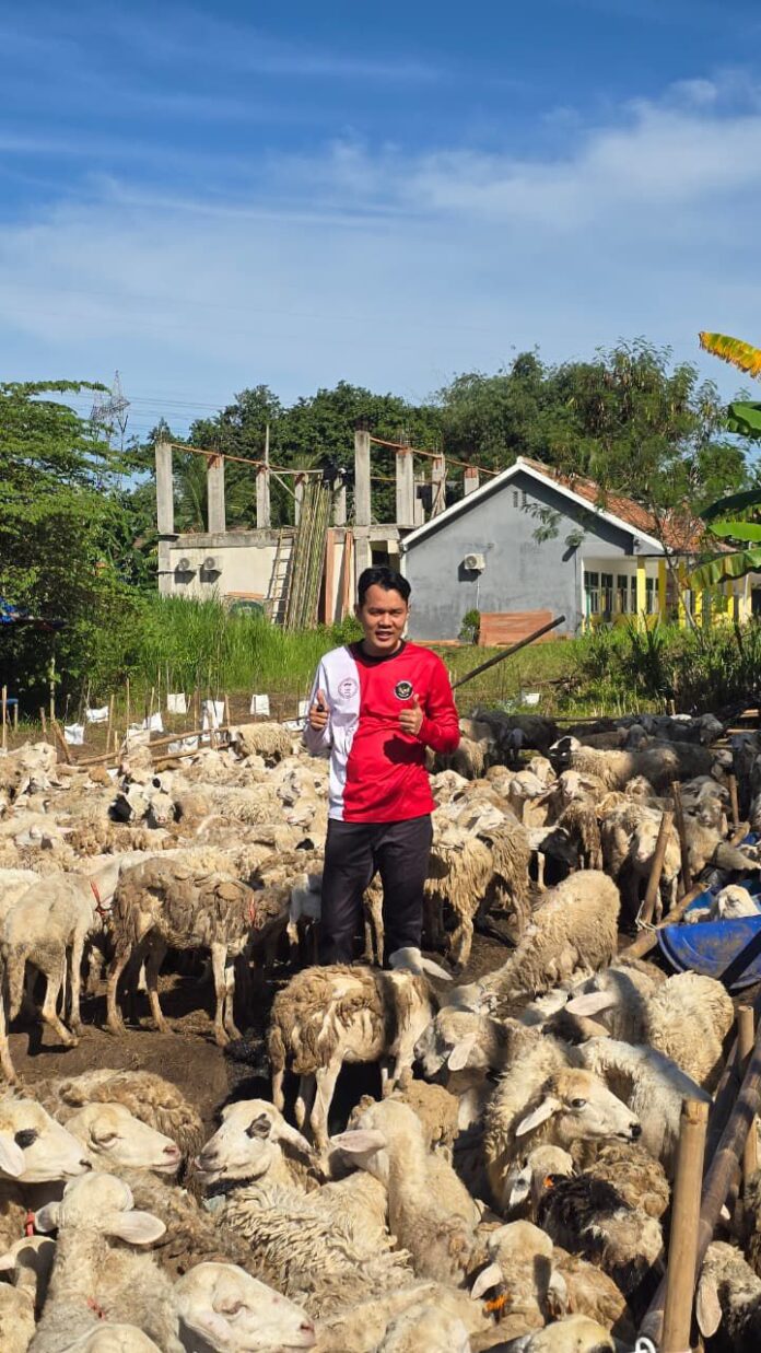 Nur Agis Aulia