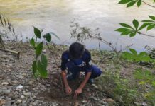 GERAK CINTA SUNGAI: Gerakan Penanaman 1.000 Pohon untuk Revitalisasi di Bayah GERAK CINTA SUNGAI: Gerakan Penanaman 1.000 Pohon untuk Revitalisasi di Bayah.