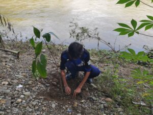 GERAK CINTA SUNGAI: Gerakan Penanaman 1.000 Pohon untuk Revitalisasi di Bayah.