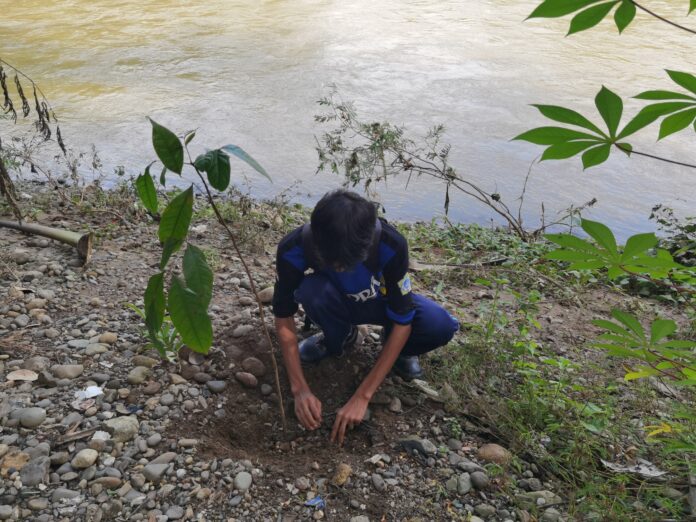 GERAK CINTA SUNGAI: Gerakan Penanaman 1.000 Pohon untuk Revitalisasi di Bayah.