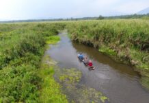 Di Balik Industri Cilegon, DAS Cidanau Jadi Penopang Utama Air Baku Rawa Danau.