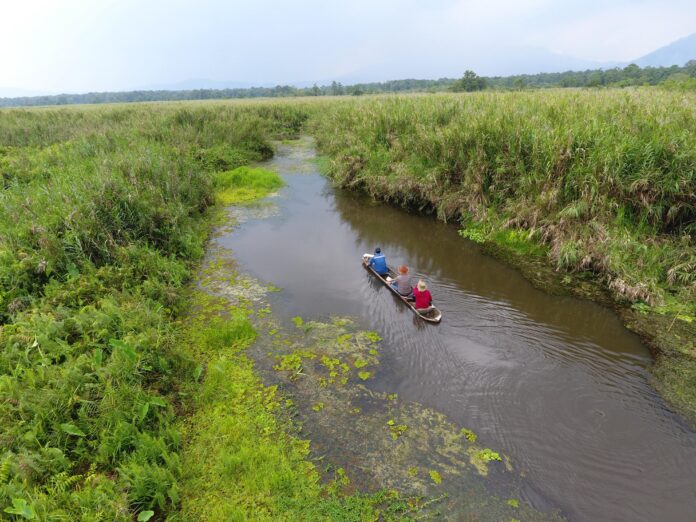 Rawa Danau.
