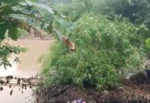 Bocah 5 Tahun Terseret Arus Sungai Cisimeut, Tim SAR Lebak Lakukan Pencarian Sungai Cisimeut, lokasi bocah 5 tahun terseret arus.