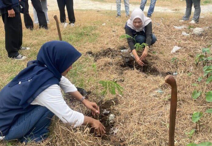 KKM 31 Uniba 2026 Tanam 50 Pohon di Pontang, Wujudkan Kepedulian terhadap Lingkungan.