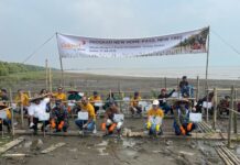 5.000 Mangrove Ditanam, 200 Relawan Turun Jaga Pesisir Kota Serang 5.000 Mangrove Ditanam, 200 Relawan Turun Jaga Pesisir Kota Serang.