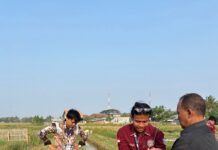 KKM Kelompok 20 UNIBA Gelar Edukasi Lingkungan Hidup dan Penanaman Pohon Albasia di Desa Bumijaya KKM Kelompok 20 UNIBA Gelar Edukasi Lingkungan Hidup dan Penanaman Pohon Albasia di Desa Bumijaya.